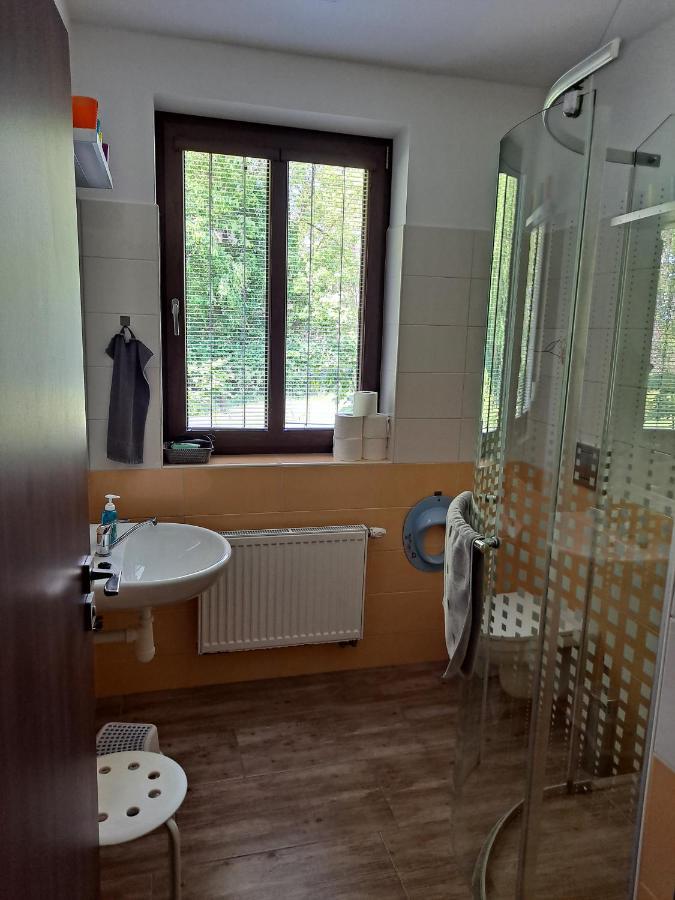 Penzion Na Pohoři Olešnice Exterior foto